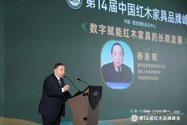 國(guó)務(wù)院參事室特邀研究員、國(guó)家人社部原副部長(zhǎng)、中國(guó)勞動(dòng)學(xué)會(huì)會(huì)長(zhǎng)楊志明發(fā)表演講